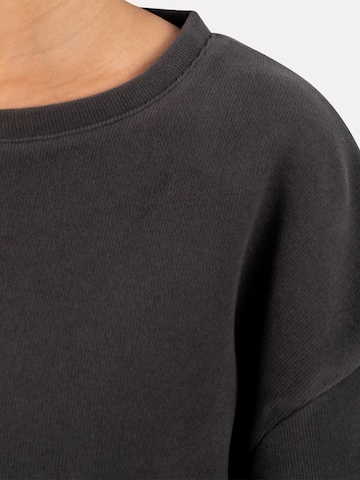 Smilodox Shirt in Grijs