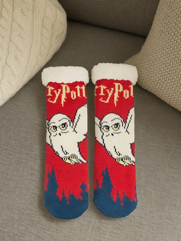 Harry Potter Socks 'Hüttensocken Hedwig' in Mixed colours