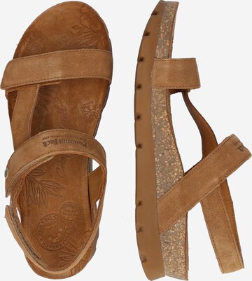 PANAMA JACK Sandal 'Selma B10' i brun