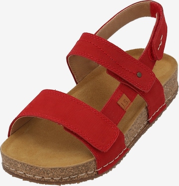 JOSEF SEIBEL Sandals in Red: front