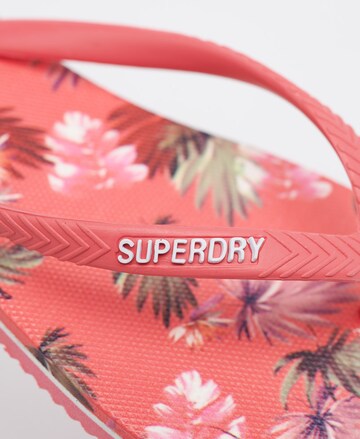 Tongs Superdry en rose