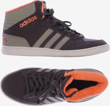 ADIDAS PERFORMANCE Sneakers Trainers in 38 5 in Mixed Colors ABOUT YOU