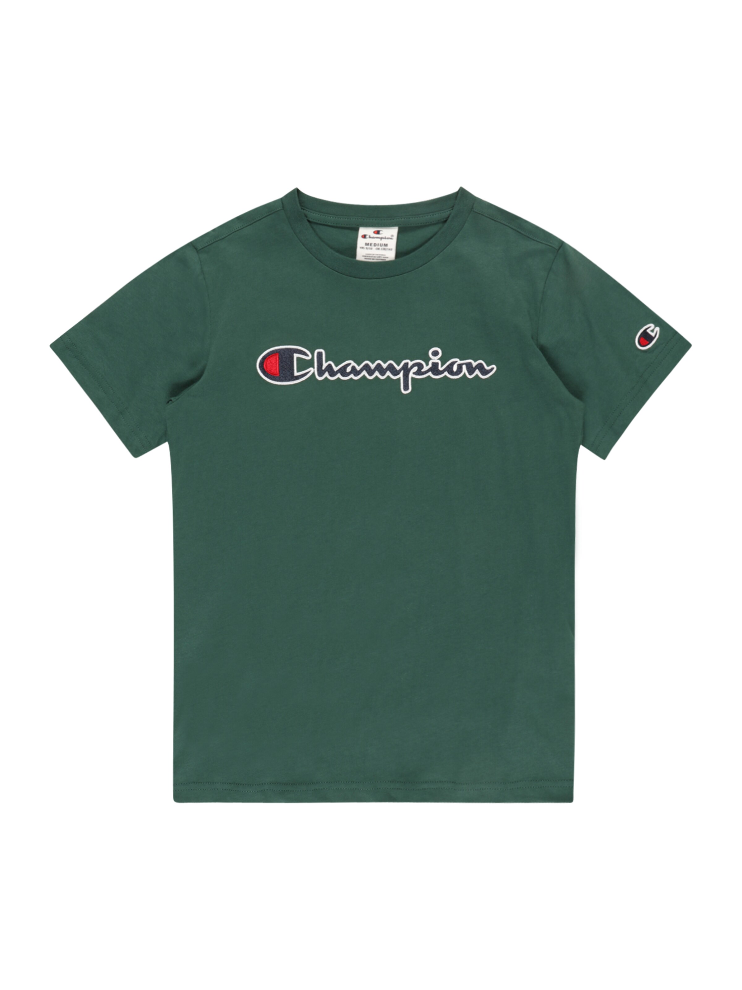 Maglietta di Champion Authentic Athletic Apparel in verde: frontale