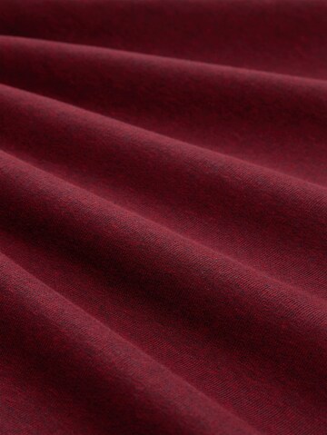 TOM TAILOR Sweatshirt 'Snood' in Rood
