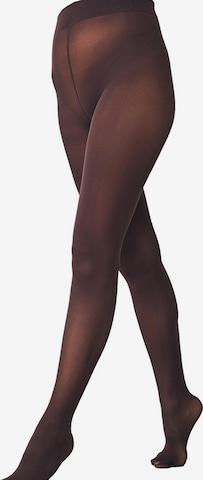 NextHulahopke - smeđa boja: prednji dio