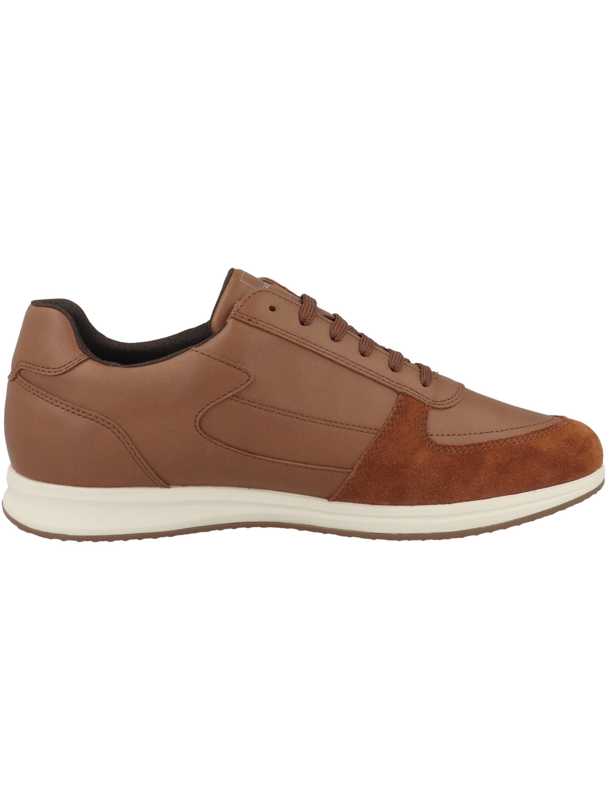 Scarpa stringata sportiva 'U Avery A' di GEOX in marrone