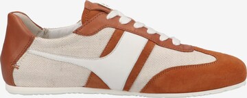 Sneaker bassa di Högl in beige