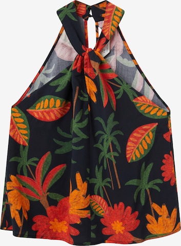 zils Compania Fantastica Topiņš: no priekšpuses