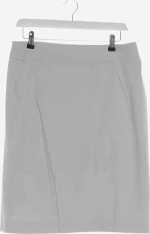 Seductive Skirt in XL in Grey: front