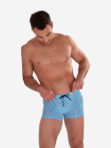 HOM Badeshorts ' Swim Shorts Viareggio ' in Blau