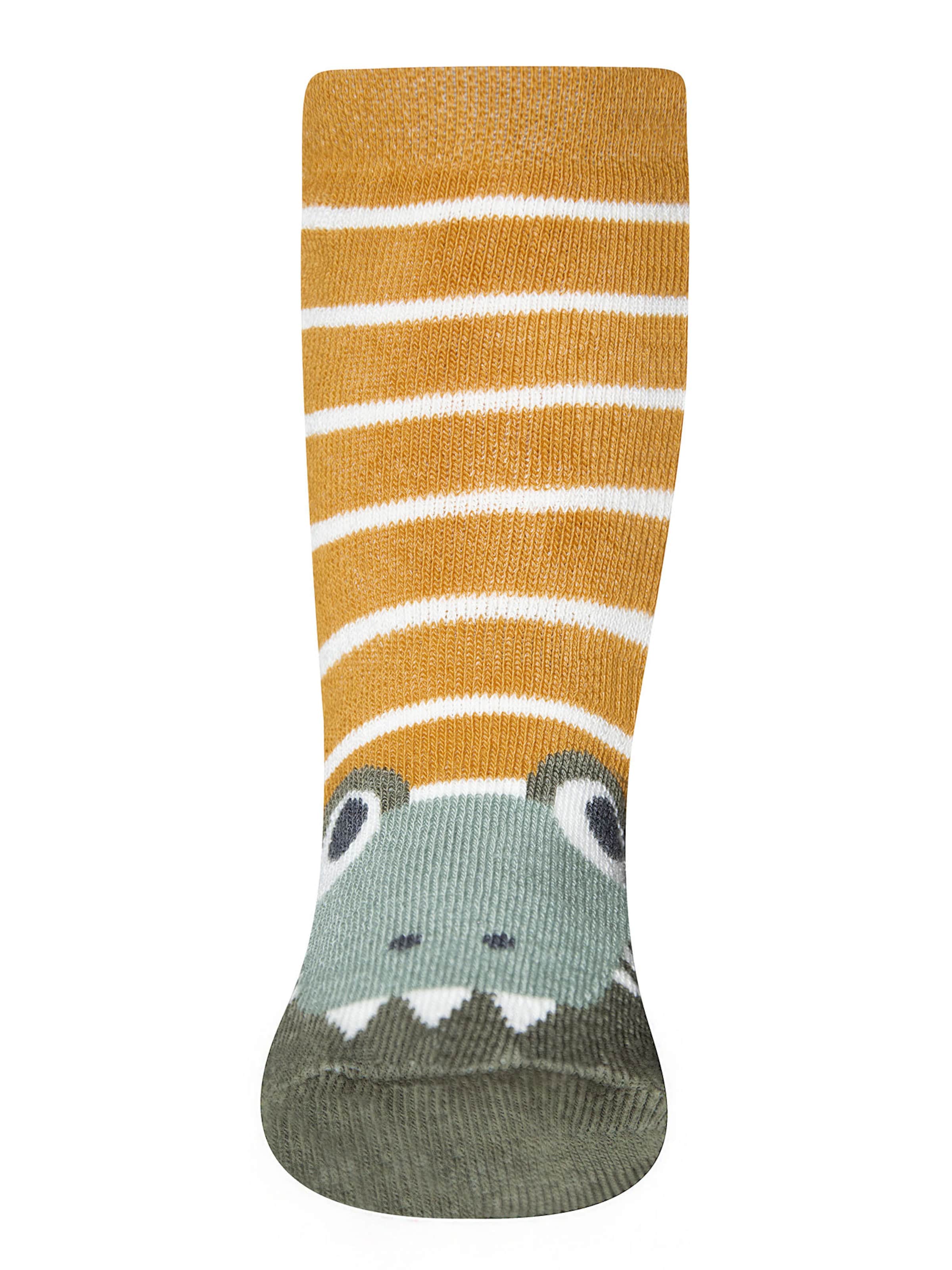 Șosete 'Krokodil' de la EWERS pe verde: față