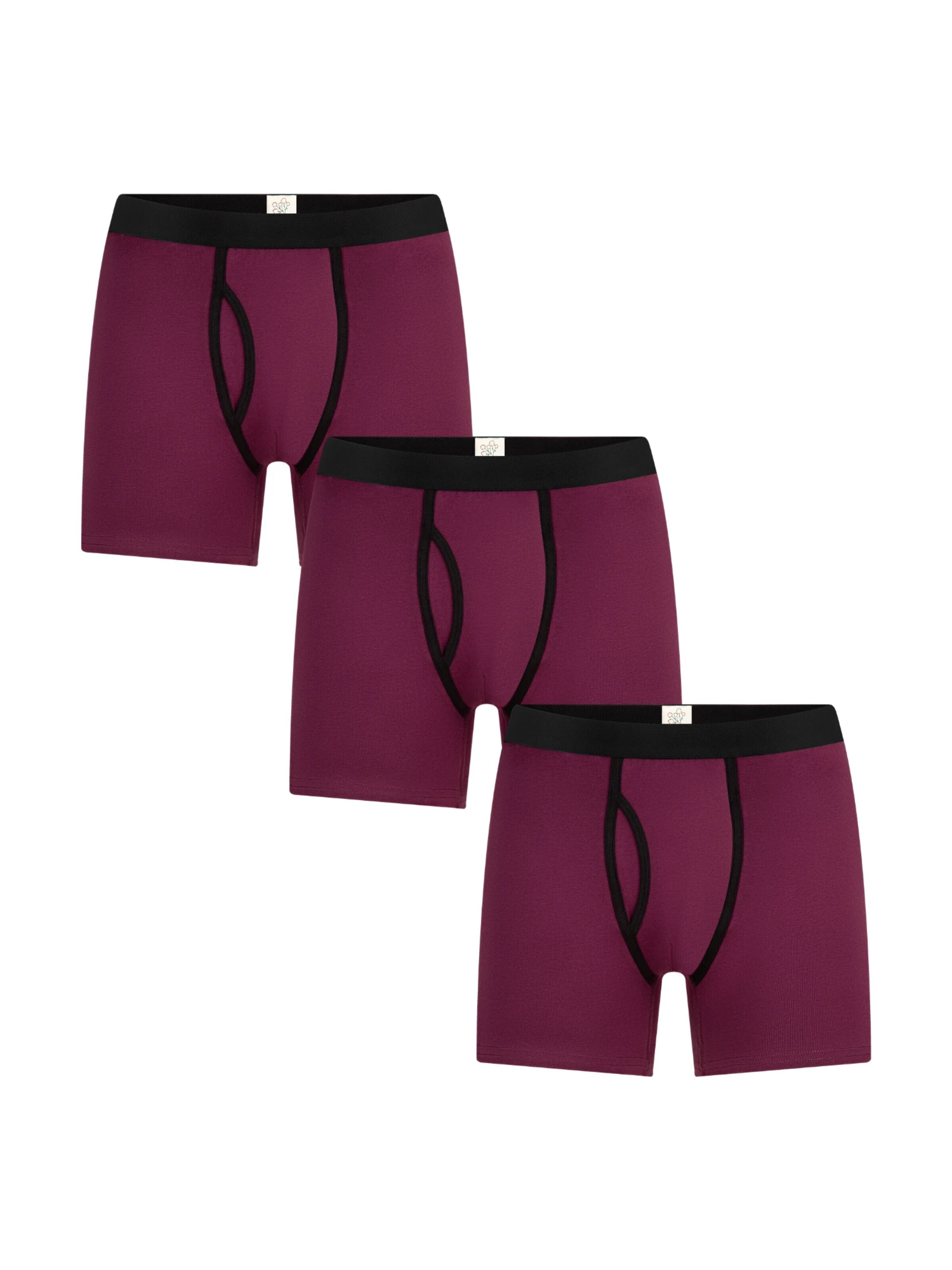Albero Natur Boxer shorts in Purple: front