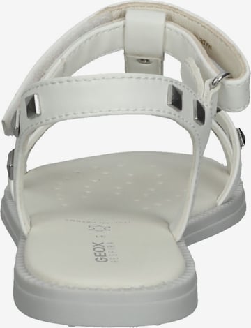 GEOX Sandale in Weiß