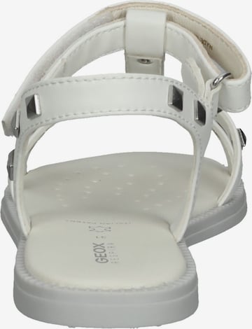 Chaussures ouvertes GEOX en blanc