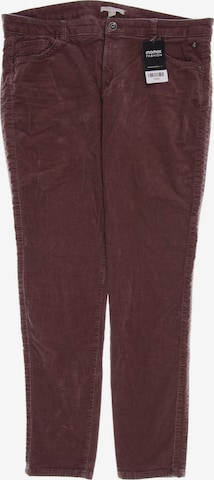 ESPRIT Pants in 29-30 in Pink: front