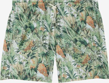 CALZEDONIA Badeshorts in Grün: Vorderseite