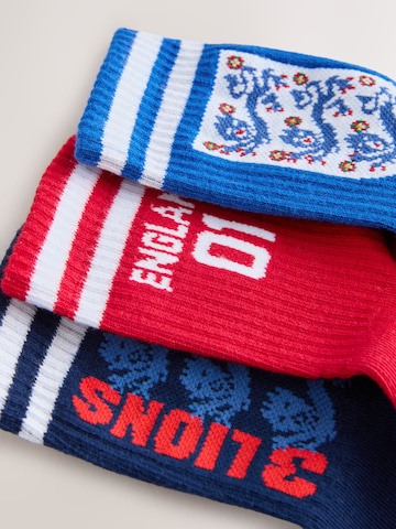 Chaussettes Next en mélange de couleurs