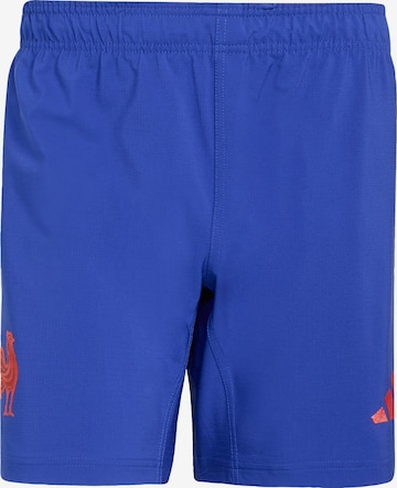 Regular Pantalon de sport 'Frankreich' ADIDAS PERFORMANCE en bleu : devant