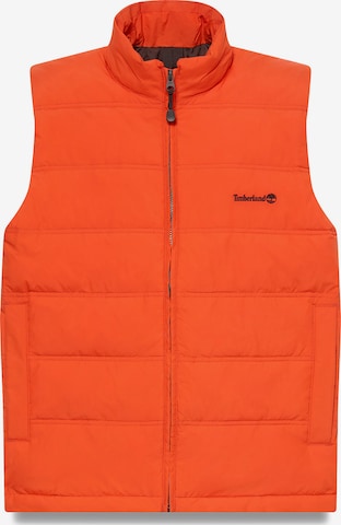 Vestă de la TIMBERLAND pe portocaliu: față