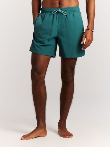 PROTEST Badeshorts 'Faster'‌‌‌ in Grün