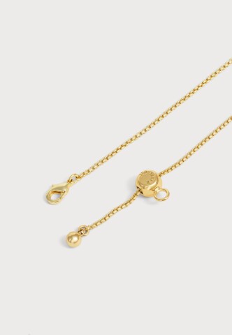 Chaîne 'MELROSE' Ted Baker en or