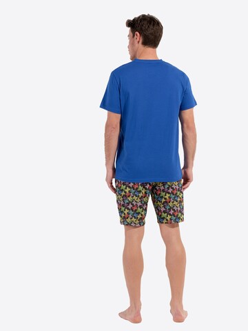 HOM Pajama short ' Beautifly ' in Blue
