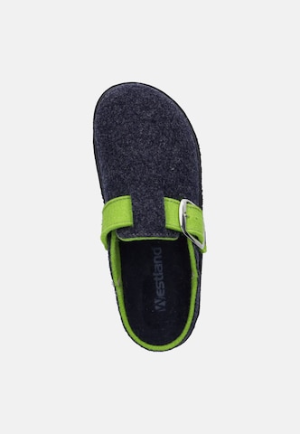 Westland Huisschoenen 'Carmaux 02' in Blauw