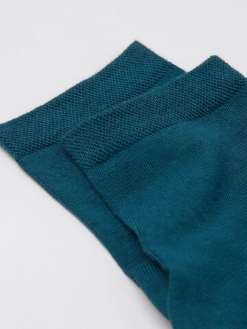 CALZEDONIA Socken in Grün