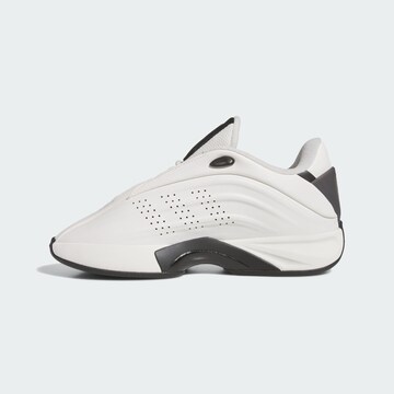 Baskets basses 'Nova Iiinfinity' ADIDAS ORIGINALS en blanc : devant