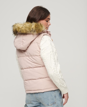 Superdry Vest 'Everest' in Pink