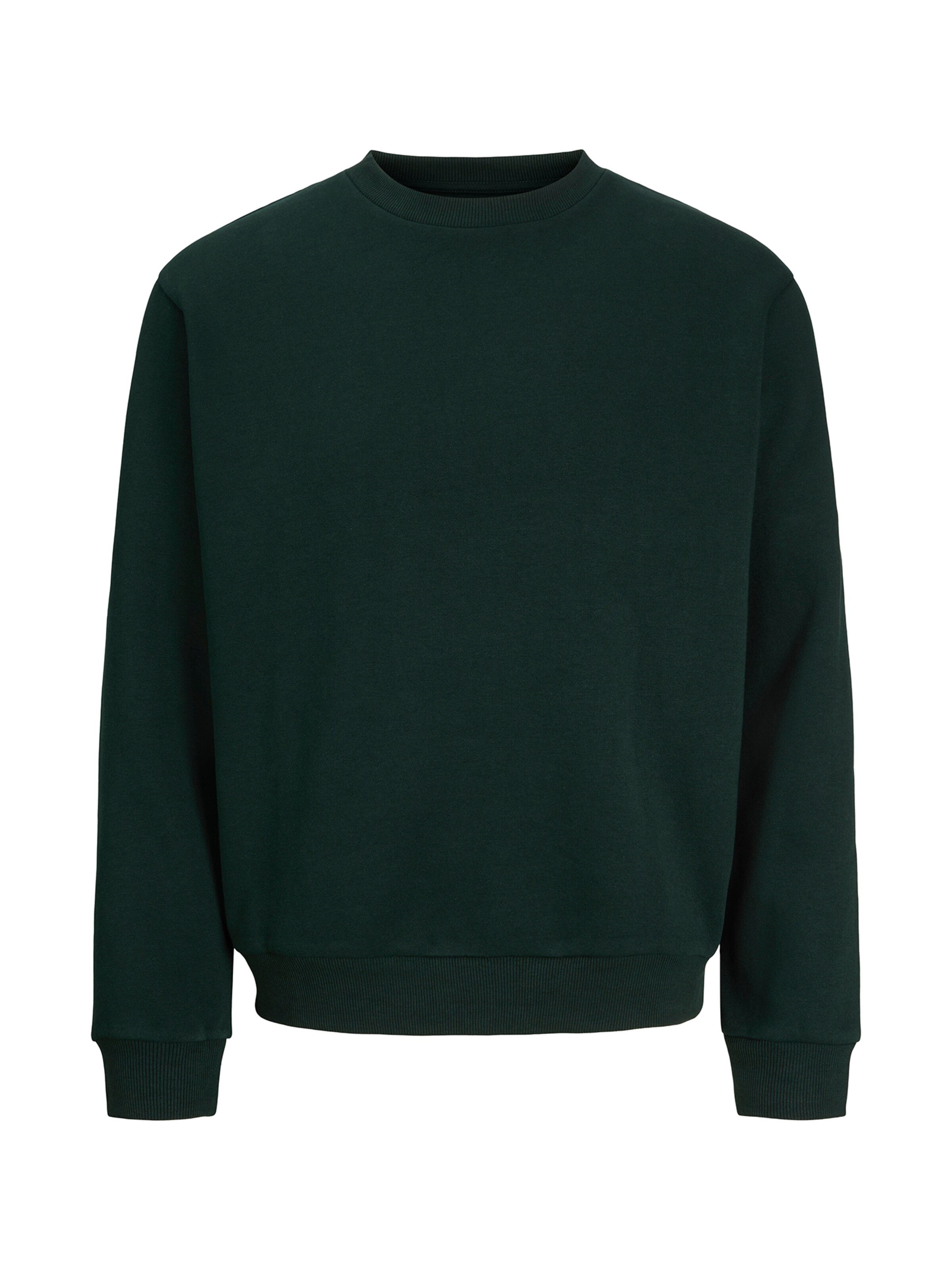 Jack & Jones Plus Mikina 'JJEBRADLEY' – zelená: přední strana