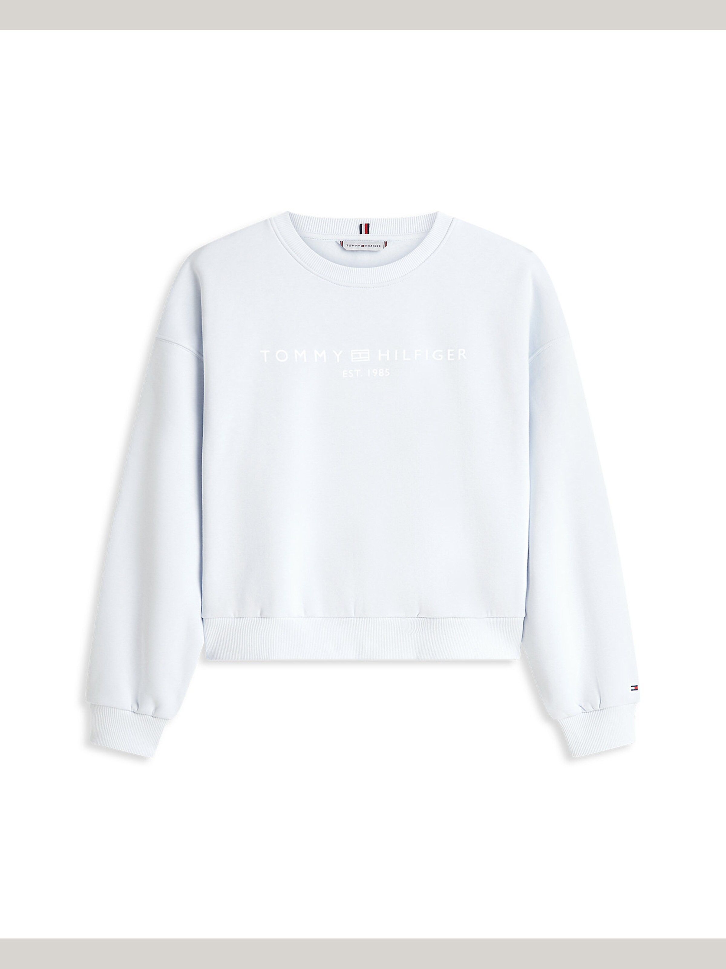 TOMMY HILFIGER Sweatshirt in Blue