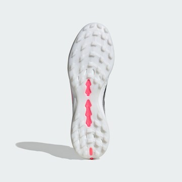 Chaussure de foot 'Predator Pro' ADIDAS PERFORMANCE en blanc