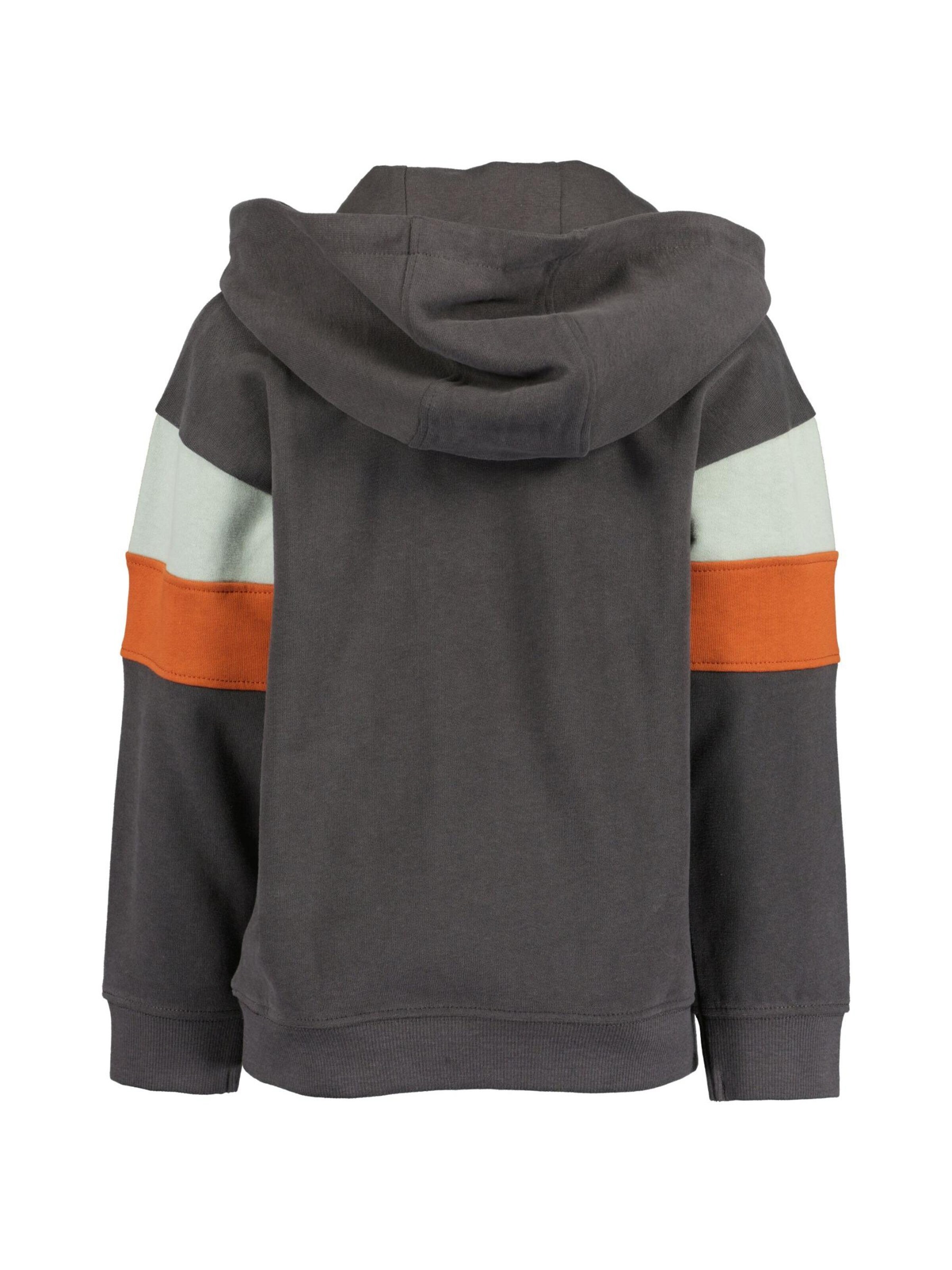 BLUE SEVEN - Sudadera en gris