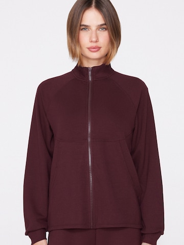 Tezenis Sweatshirt in Red: front