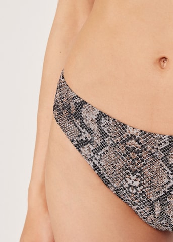 CALZEDONIA Bikini Bottoms 'Classic Snake' in Black