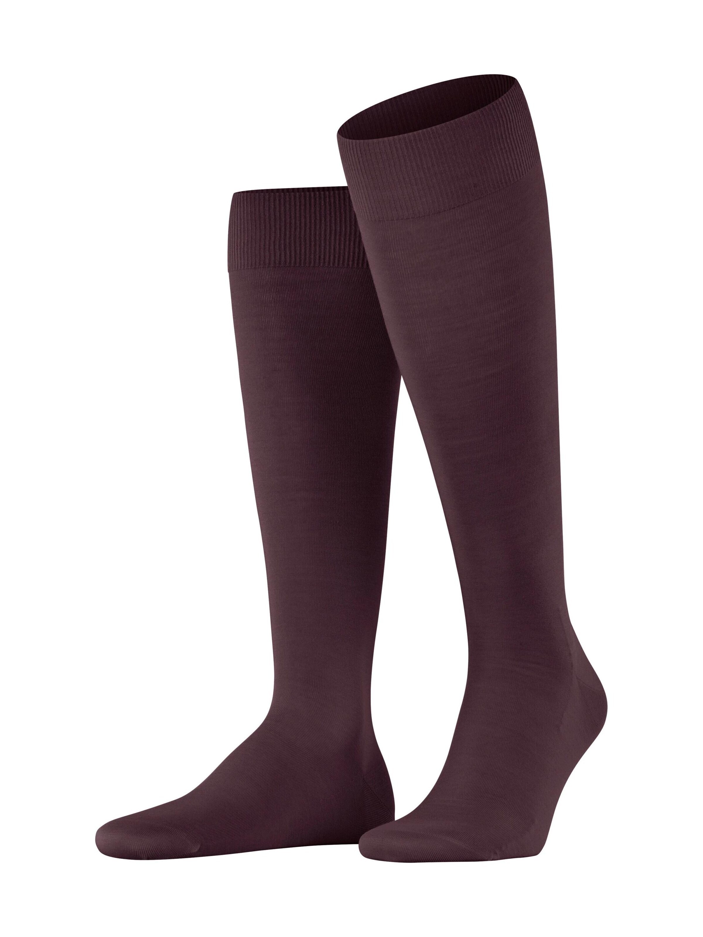 FALKE Kniestrümpfe 'ClimaWool'‌‌‌‌‌ in Rot: Vorderseite