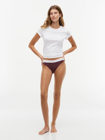Tommy Hilfiger Underwear Slip in Brown