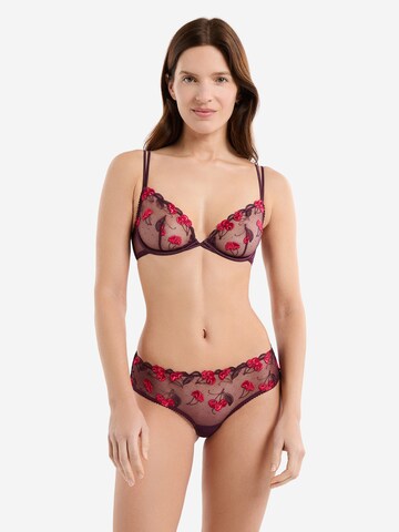 Panty di ETAM in lilla