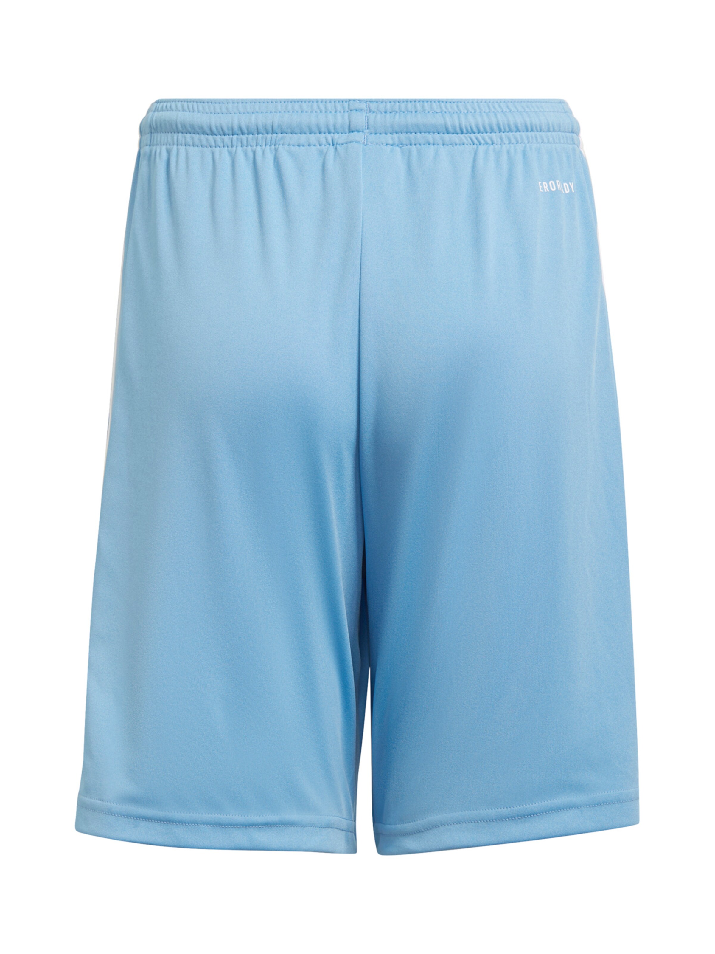 ADIDAS PERFORMANCE Regular Workout Pants 'Squadra 21' in Blue