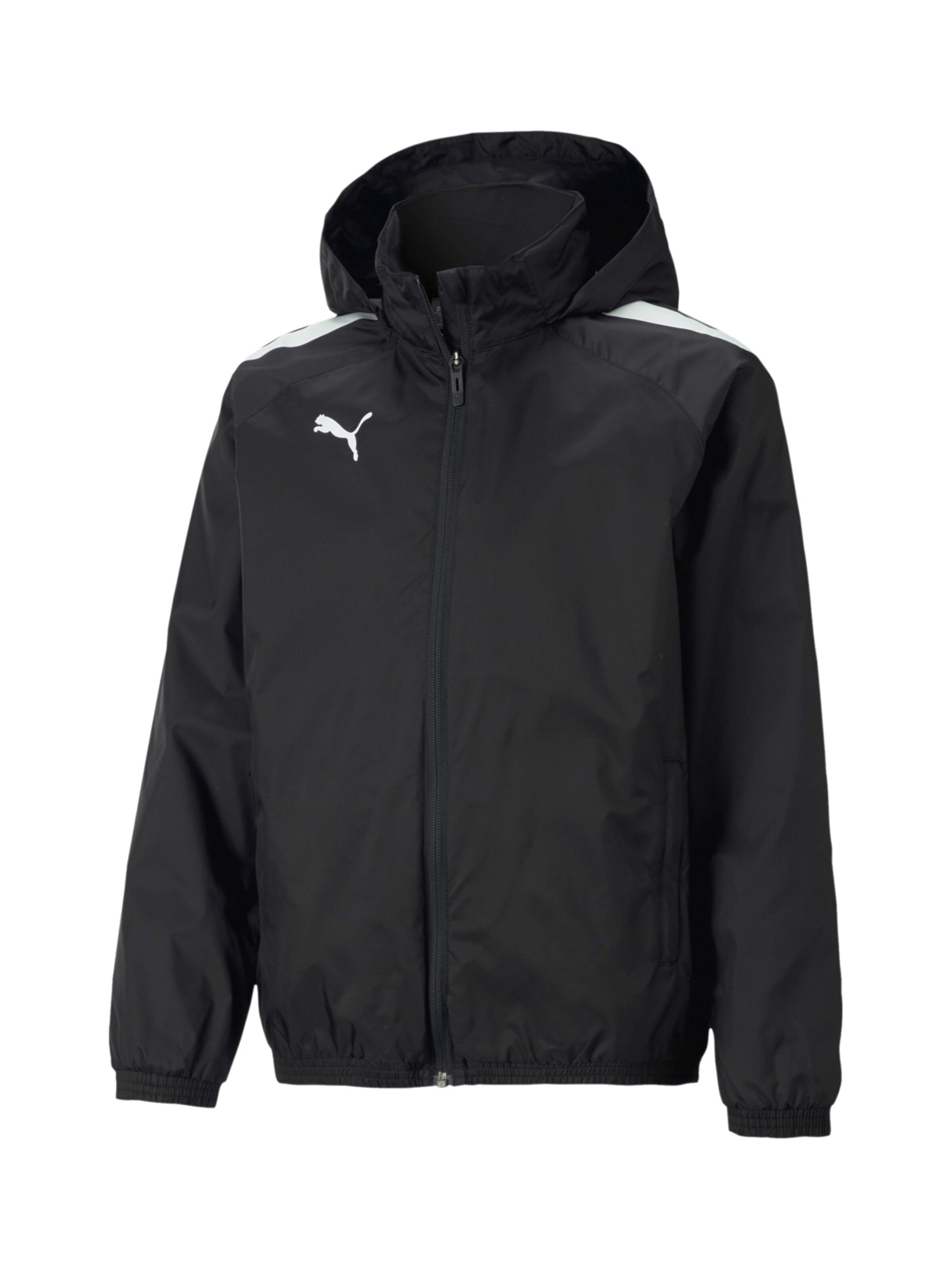 PUMA Athletic Jacket 'TeamLiga' in Black: front