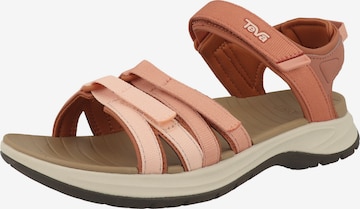 TEVA Wandelsandalen in Roze: voorkant