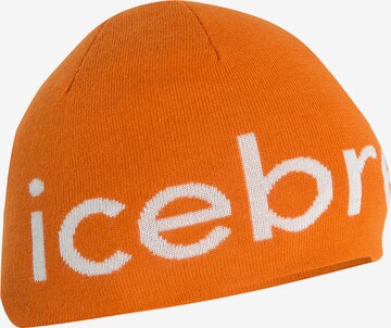 ICEBREAKER Beanie in Orange: front