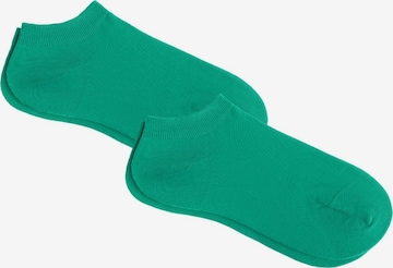 Albero Natur Socks 'Bio-Baumwoll-Sneakersocken Unisex - 2er Pack' in Green: front