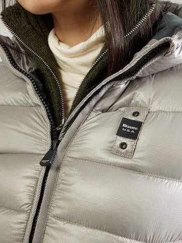 Blauer.USA Winter coat in Grey