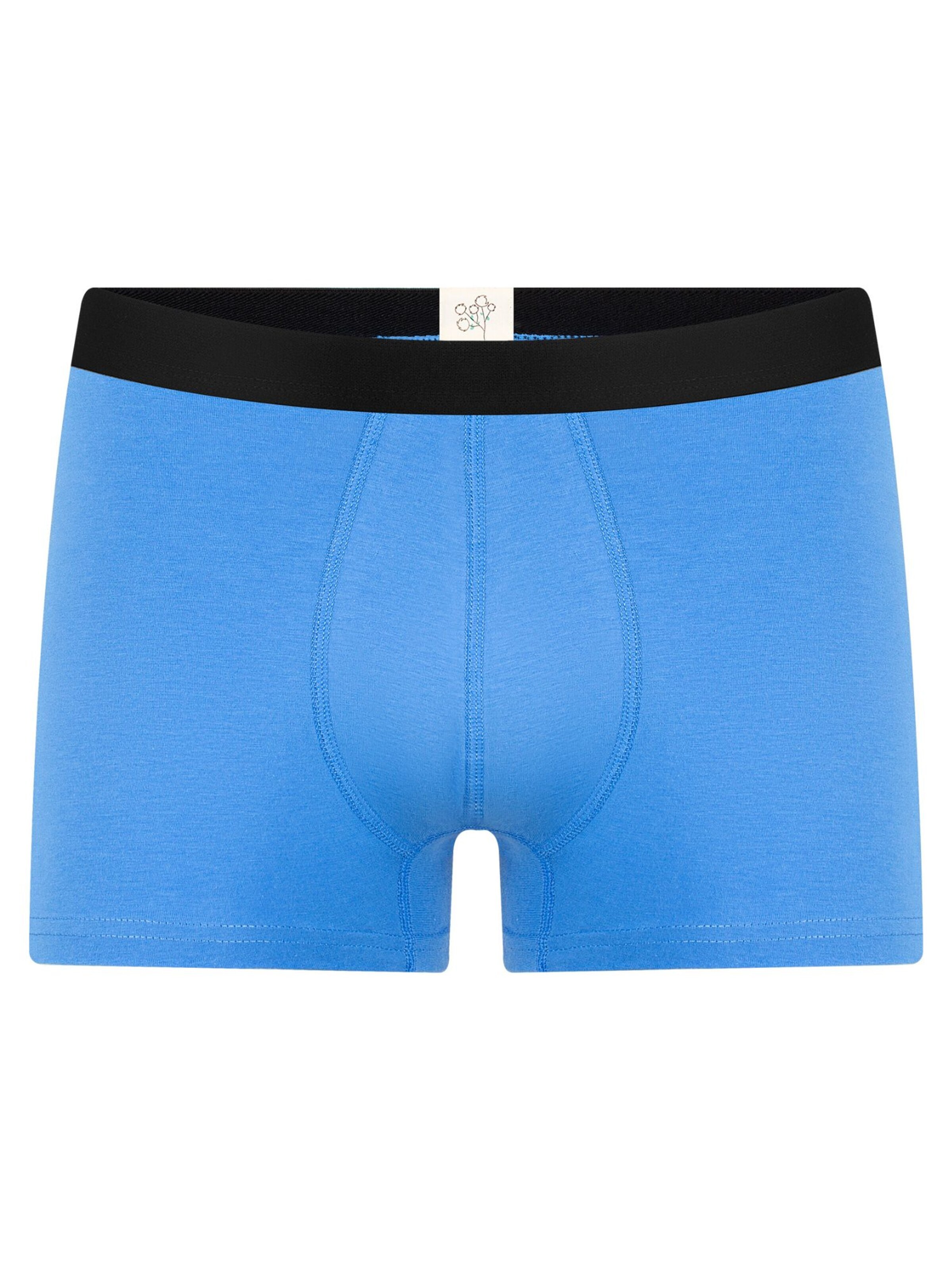 Albero Natur Boxershorts 'Herren Trunkshorts aus Bio-Baumwolle'‌‌ in Blau: Vorderseite