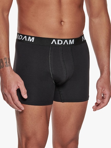 Adam Boxer shorts '6er Pack' in Grey