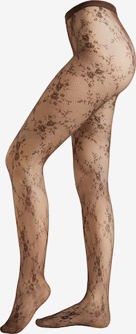 CALZEDONIA Tights in Brown: front