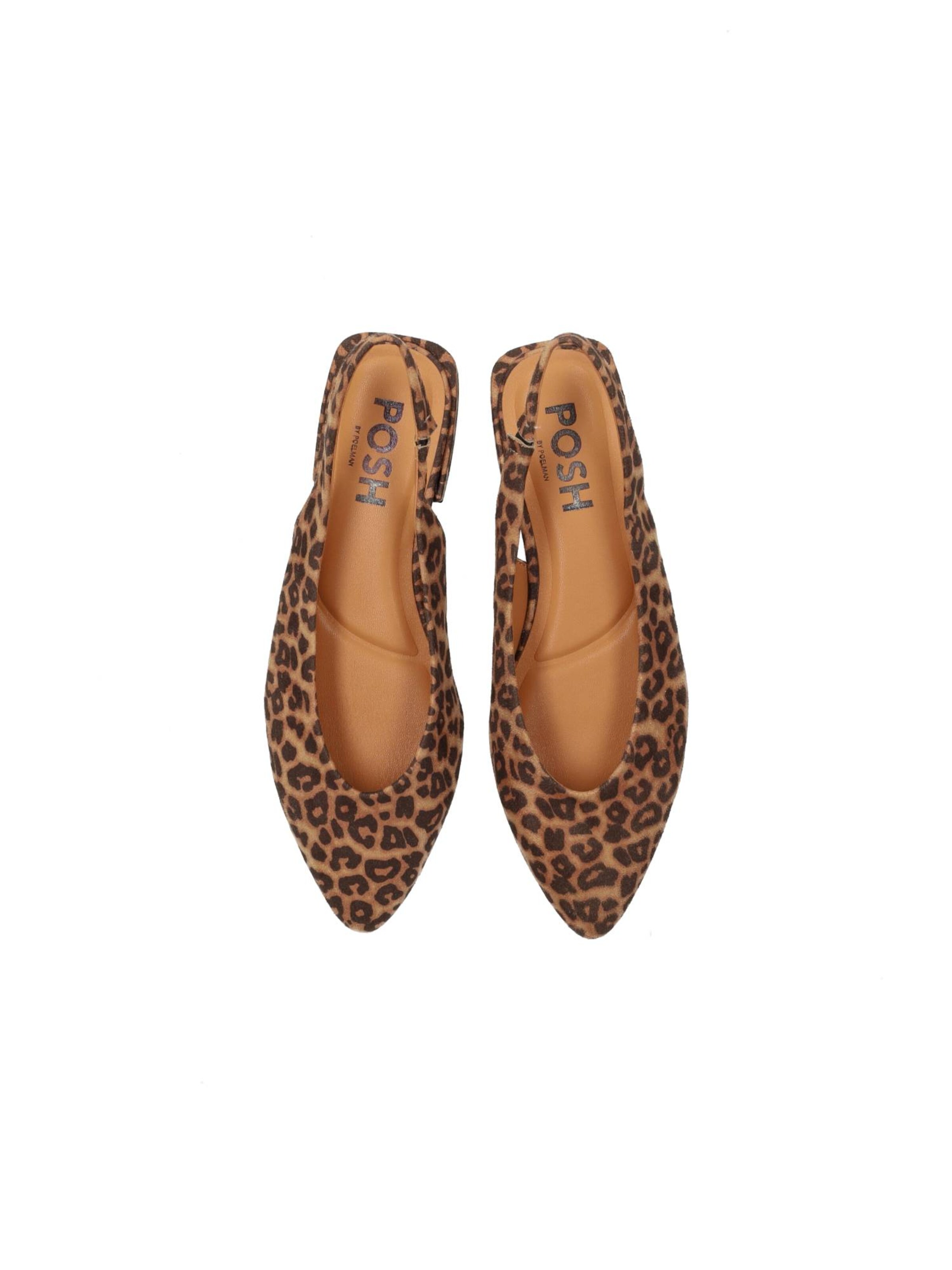 POSH by Poelman Ballet Flats with Strap 'Anna' in Brown