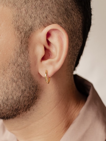 Hey Happiness Oorbel 'Mid Plain' in Goud
